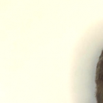 Profile picture of fselvarolo